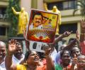 DMK sweeps TN civic polls as expected, but BJP pulls a surprise