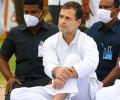 Cong jubilant as Rahul set to embark on Bharat Jodo Yatra