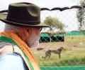 No serious efforts made to reintroduce cheetahs: PM slams previous govt