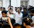 Rahul gets hero's welcome at Congress hq, says truth always wins