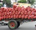 'Onion price rise scares this government'