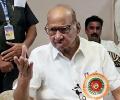 Sharad Pawar denies split in NCP again, says MLAs don't mean...