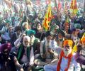 SKM to hold 15 more farmers' conclave ahead of Feb 26 Delhi march