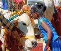 Celebrate 'Cow Hug Day' on Feb 14: Animal Welfare Board