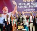 TMC helping BJP in Meghalaya, charges Rahul, puts Oppn unity at risk