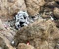 Indian-origin man held in US for driving car off cliff