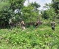 Army foils infiltration bid in Poonch, 2 terrorists killed