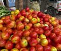 Pune farmer becomes millionaire amid rising tomato prices