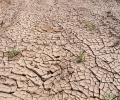 In peak of monsoon, Jharkhand stares at drought due to 45% rain deficit