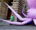 What's An Octopus Doing On A Street?