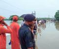 5 lakh people hit, 3.5 lakh animals affected in Assam floods