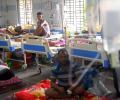 How dengue in India is linked to climate change