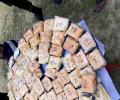 MBA, LLB students among 9 held for drug trafficking in Noida