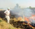 Punjab's Water Woes And Stubble Burning