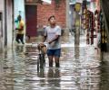 Heavy rains kill 19 in UP in 24 hrs, schools shut