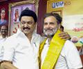 SEE: When Rahul buys Mysore Pak for 'brother' Stalin