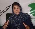 PDP chief Mehbooba will not contest J-K polls because...