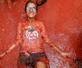 La Tomatina: The Battle of Tomatoes