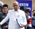 Can't seek LoP post, says Sharad Pawar; Sena-UBT differs