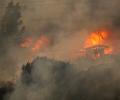 46 killed in Chile forest fires, toll likely to rise, says Prez Boric