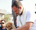 Rahul scoffs at BJP's 'obsession with dog' over video