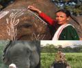 First woman elephant mahout among 34 unsung heroes awarded Padma Shri