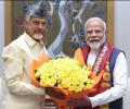 Why Did Naidu Meet Modi?