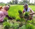 Budget: Rs 3 lakh crore for schemes benefitting women