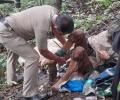 Woman with US passport found chained to tree in Maharashtra forest