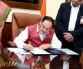 BJP may go in for working president after Nadda