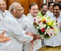 Speaker recognises Rahul as LOP; his first constitutional role