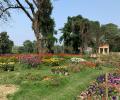 Restoring India's Botanic Heritage