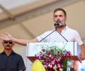 Why Rahul Gandhi opted for Rae Bareli instead of Amethi