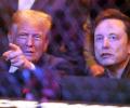 Musk Sticks Close To Trump....