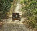 Wildlife cameras installed in Corbett misused to surveil women