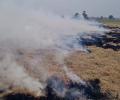 Stubble burning: SC raps Punjab, Haryana govts