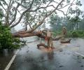 Cyclone Dana: Crops on 1.75L acre damaged in Odisha, says govt