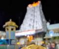 Andhra govt appoints SIT to probe alleged animal fat in Tirupati laddus