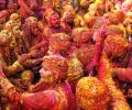 'Stay indoors': Bihar BJP MLA's Holi appeal to Muslims sparks row