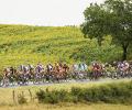 Riders shocked after Tour de France carnage