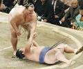 Japan's sumo belly flops to $50 million debt