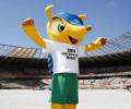 Football: Brazil's World Cup mascot named 'Fuleco'