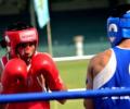 Four Indian boxers assured of a bronze each in China Open