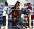 End of the race for Mahalaxmi Race Course?