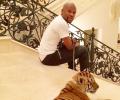 Mayweather shows off his Christmas gift, a pet tiger from INDIA!!!