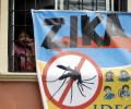 Beware! Indians are vulnerable to Zika virus: Study