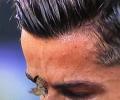 'Messi' moth buzzing around Ronaldo breaks Twitter