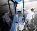 Why this US sailor is cleaning Rio's bay before Olympics