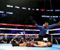 WBC middleweight boxing: Khan knocked out by Alvarez