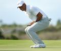 Tiger tied for fifth at Hero World Challenge